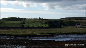 Schottland13_291