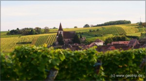 Reisebericht_Elsass026