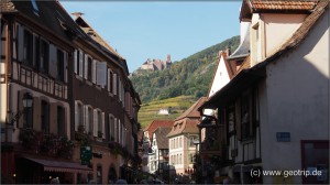 Reisebericht_Elsass048