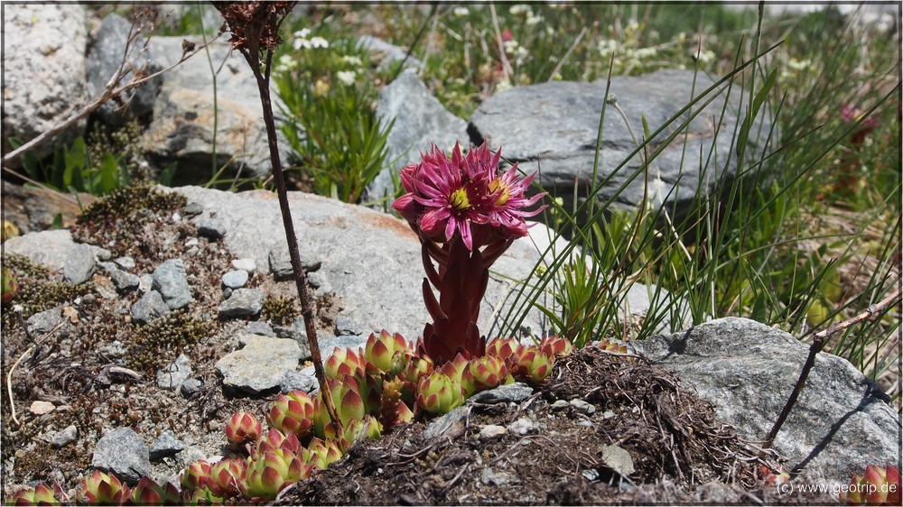 Reisebericht_Wohnmobil_Schweiz2014_0789