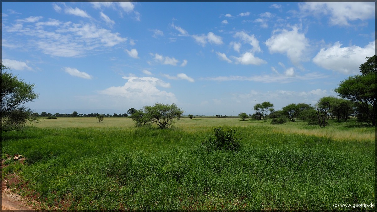 Tarangire Nationalpark