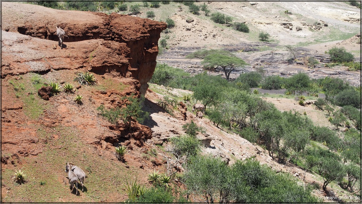 Oldupai Gorges I