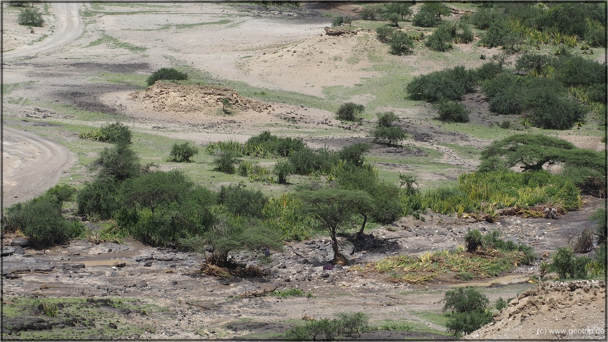 Oldupai Gorges II