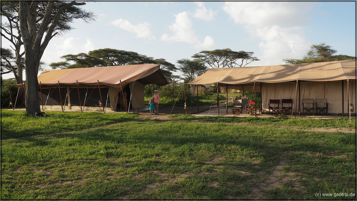 Savannah Teted Camp, mitten in der Serengeti - Bar und Küchenzelt