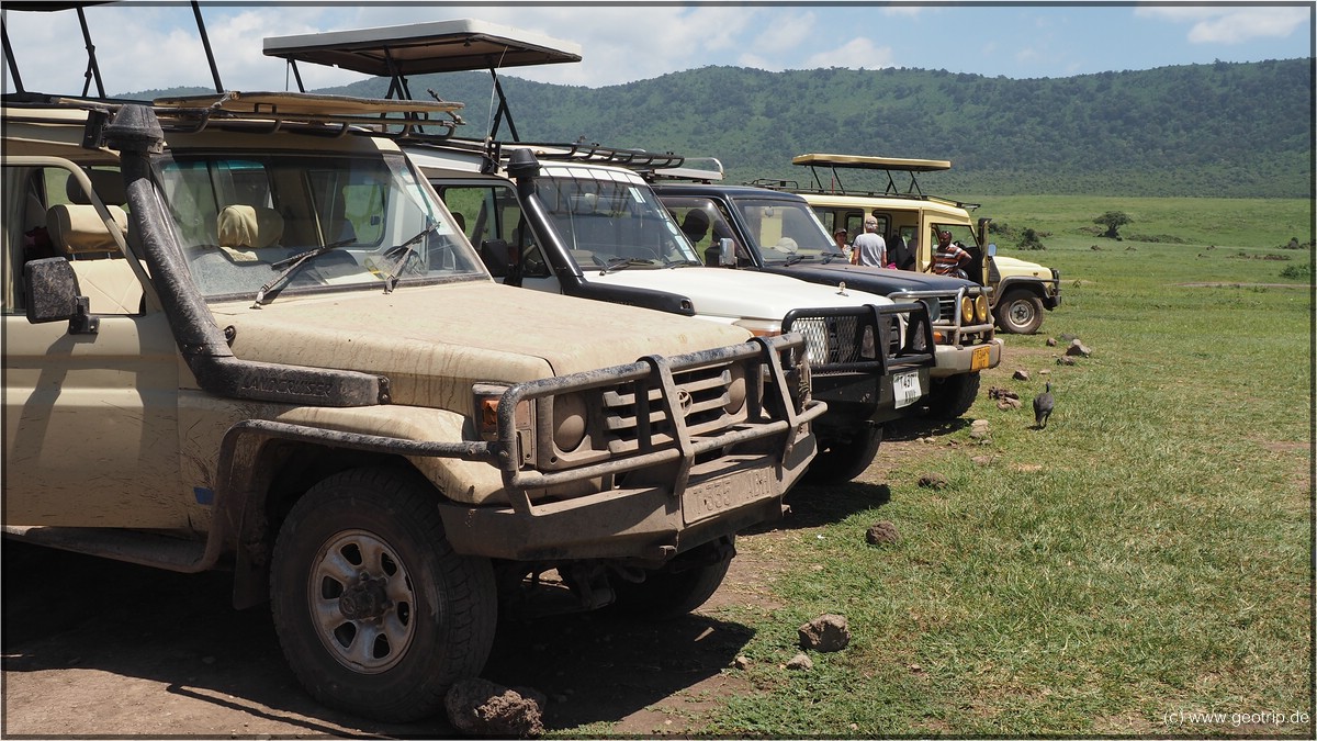 Stehen dei Safarijeeps (genauer Landcruiser) aufgereiht